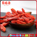 Bacche tibétane de goji baie de goji pour servir extrato de goji berry